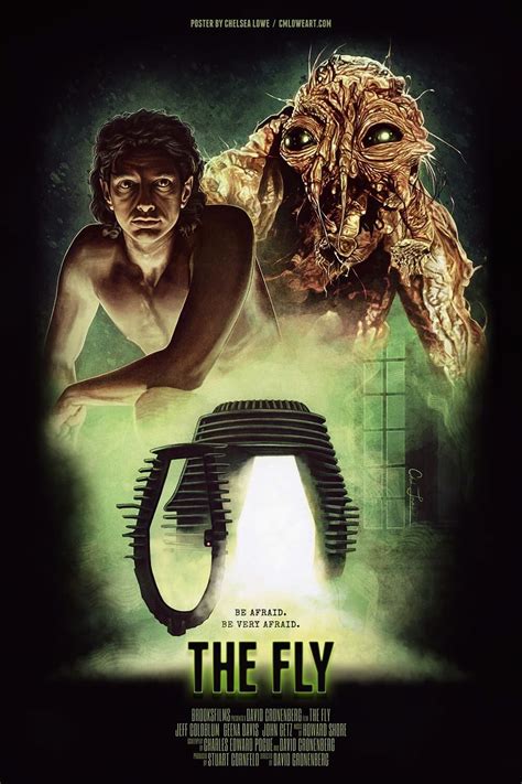streaming The Fly